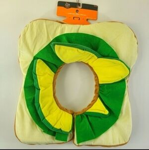 NWT Hyde & Eek Boutique Pet Avocado Toast Collar Halloween Costume New
